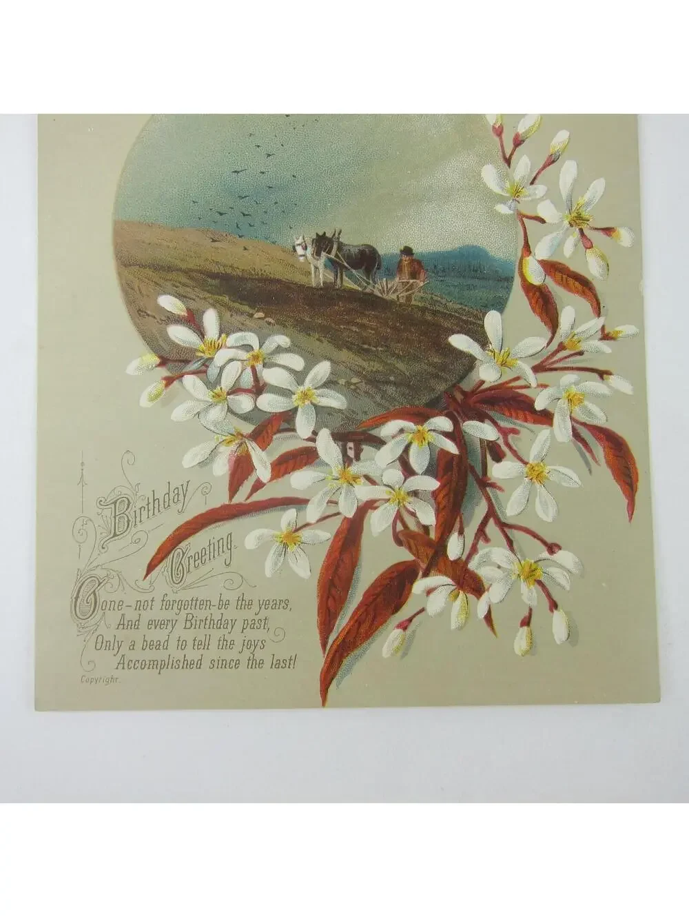 Victorian Birthday Greeting Card Farmer Plow Horses White Flower Blossom Antique